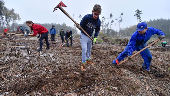 Dobrovolníci vysázeli stovky tisíc stromů za jeden den, pomáhali po celém Česku