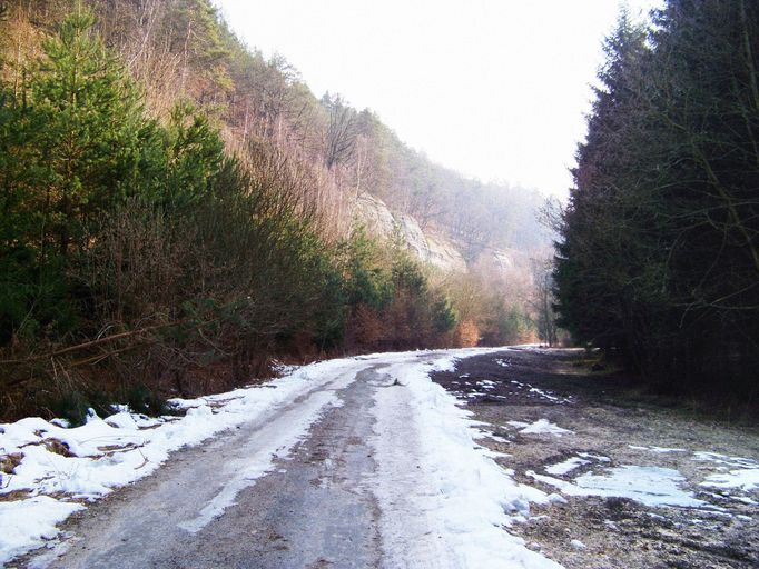 Truskavenský důl, hranice území Vysoká a Kokořín-Truskavna