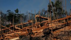 Ilegální těžba zlata v Amazonii, Brazílie