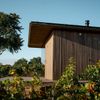 Glamping Ve vinohradě