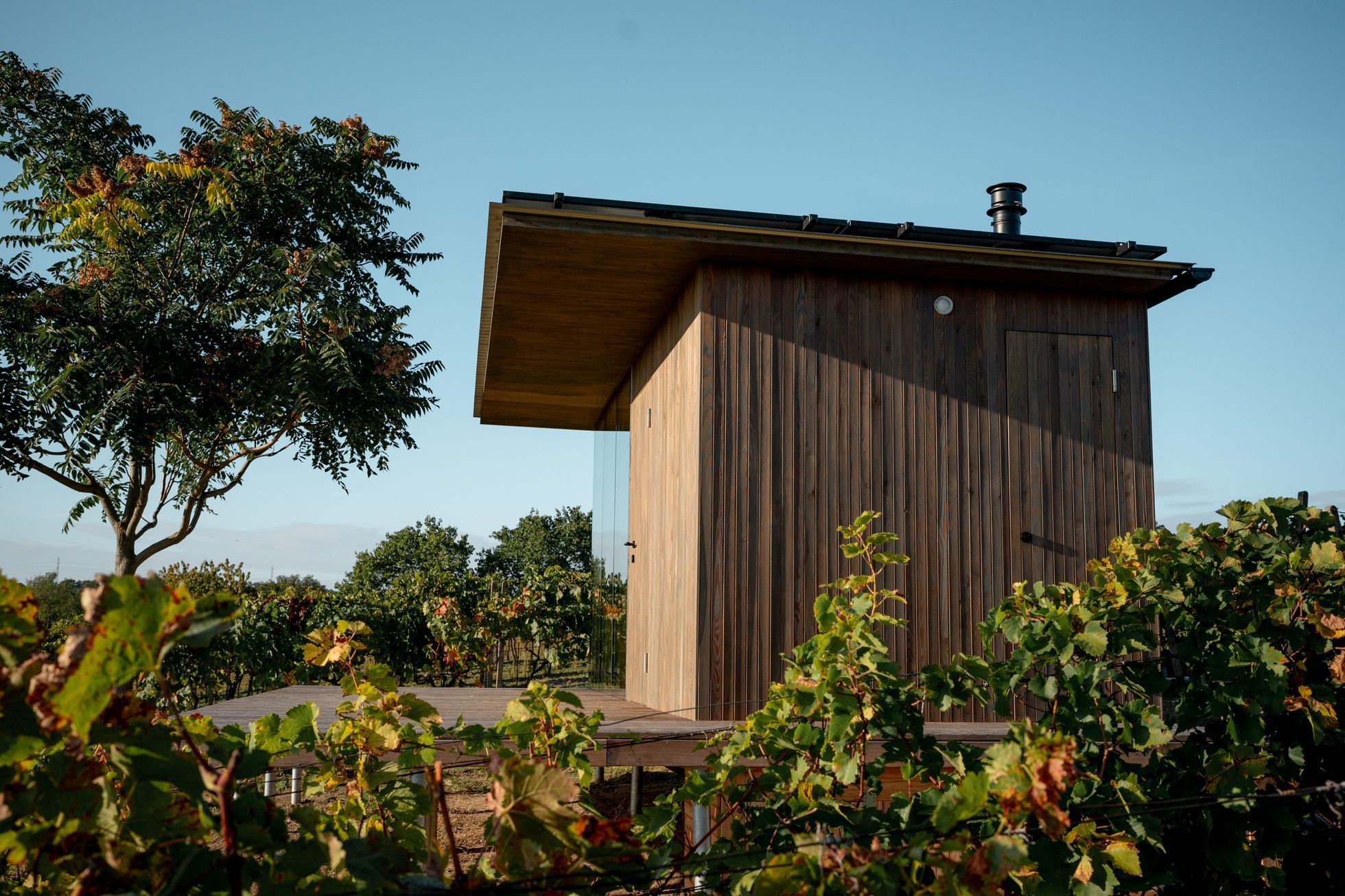 Glamping Ve vinohradě