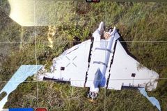 Stát NATO byl v pohotovosti. Do Litvy se zřítil "falešný" dron s výbušninami
