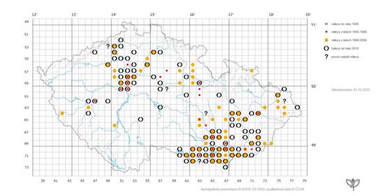 Extent of Bajaj (as of October 2020) according to the database of the Agency for Nature and Landscape Conservation