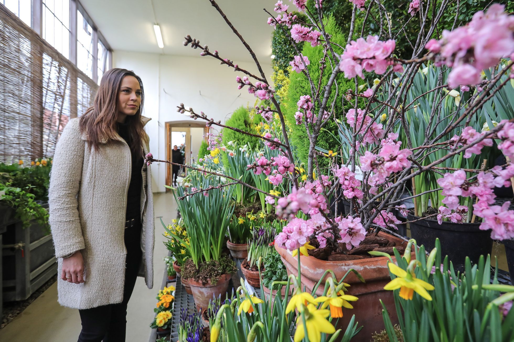 Výstava květin Předjaří, Pražský Hrad