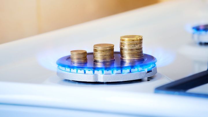 Pomoc má být cílená a ne tak drahá. Odborníci kritizují plošné rušení DPH na energie; Zdroj foto: Shutterstock