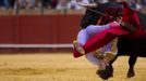 Spanish matador Nazare is tackled by a bull during a bullfight in Seville