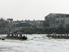 Klání veslařů z Oxfordu a Cambridge patří k tradičním obrázkům na Temži již od roku 1829.