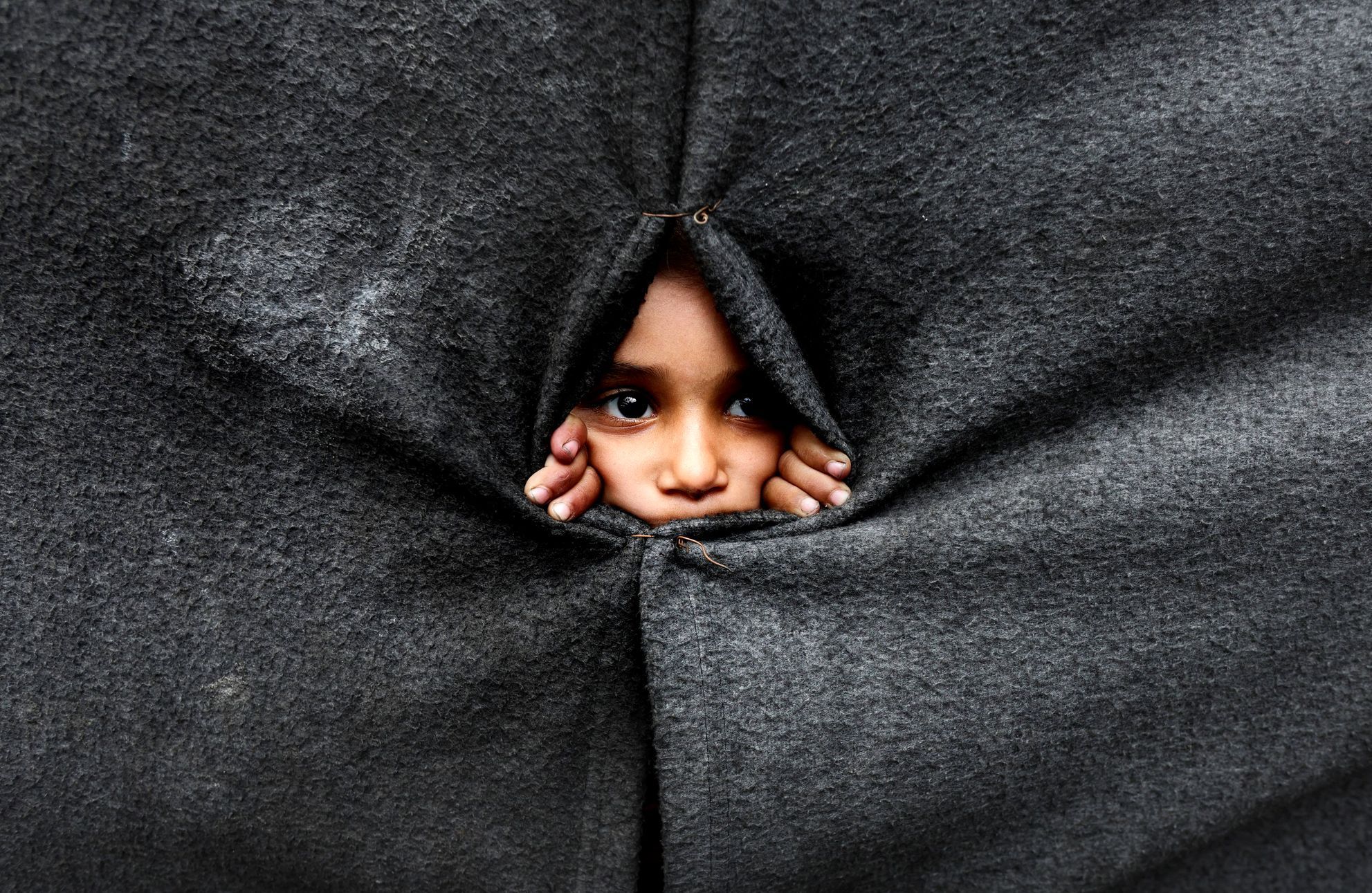 Izrael, USA, Palestina, Gaza, příměří, dohoda, Hamás, armáda, oslavy