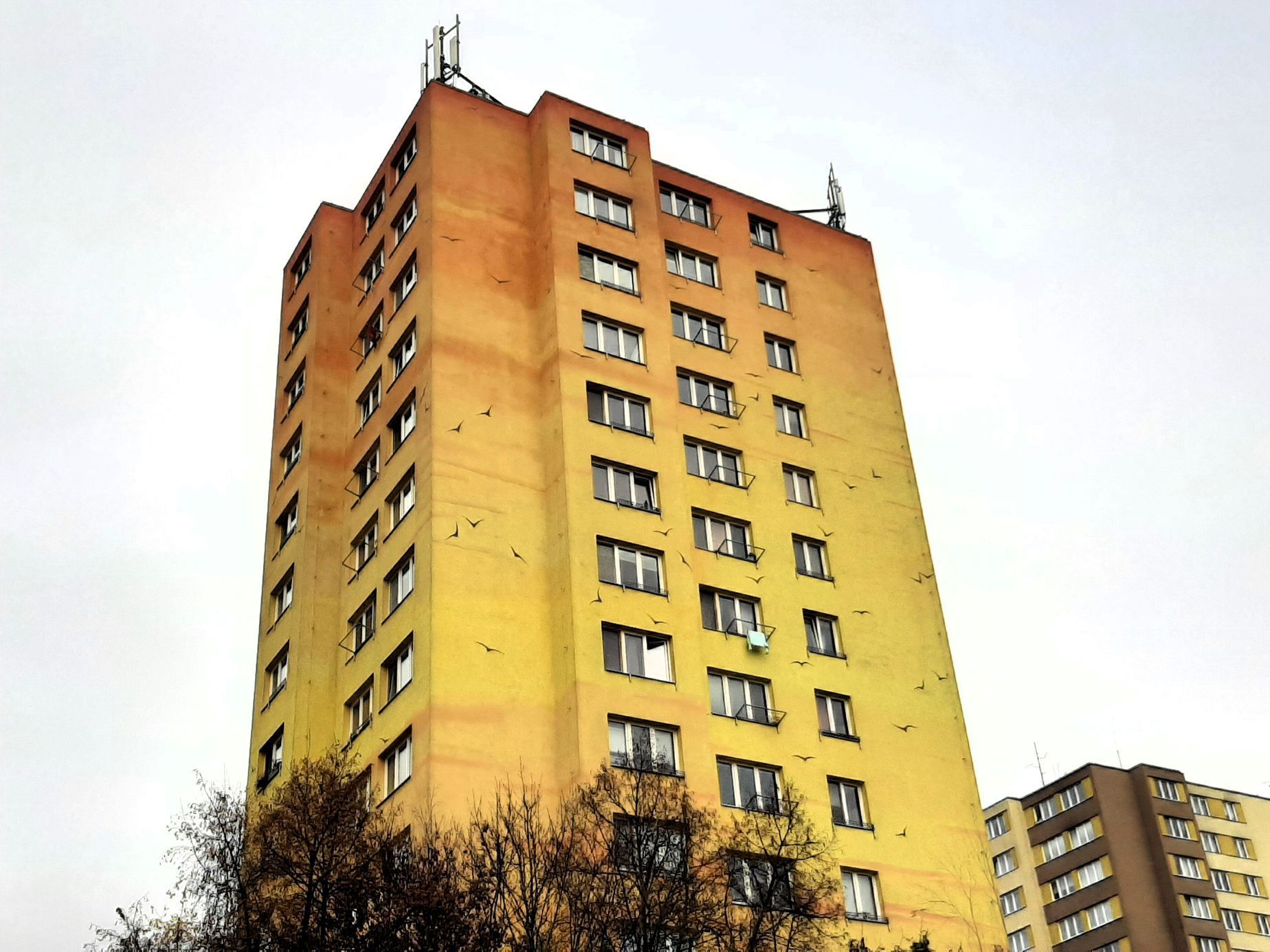Barevný panelák