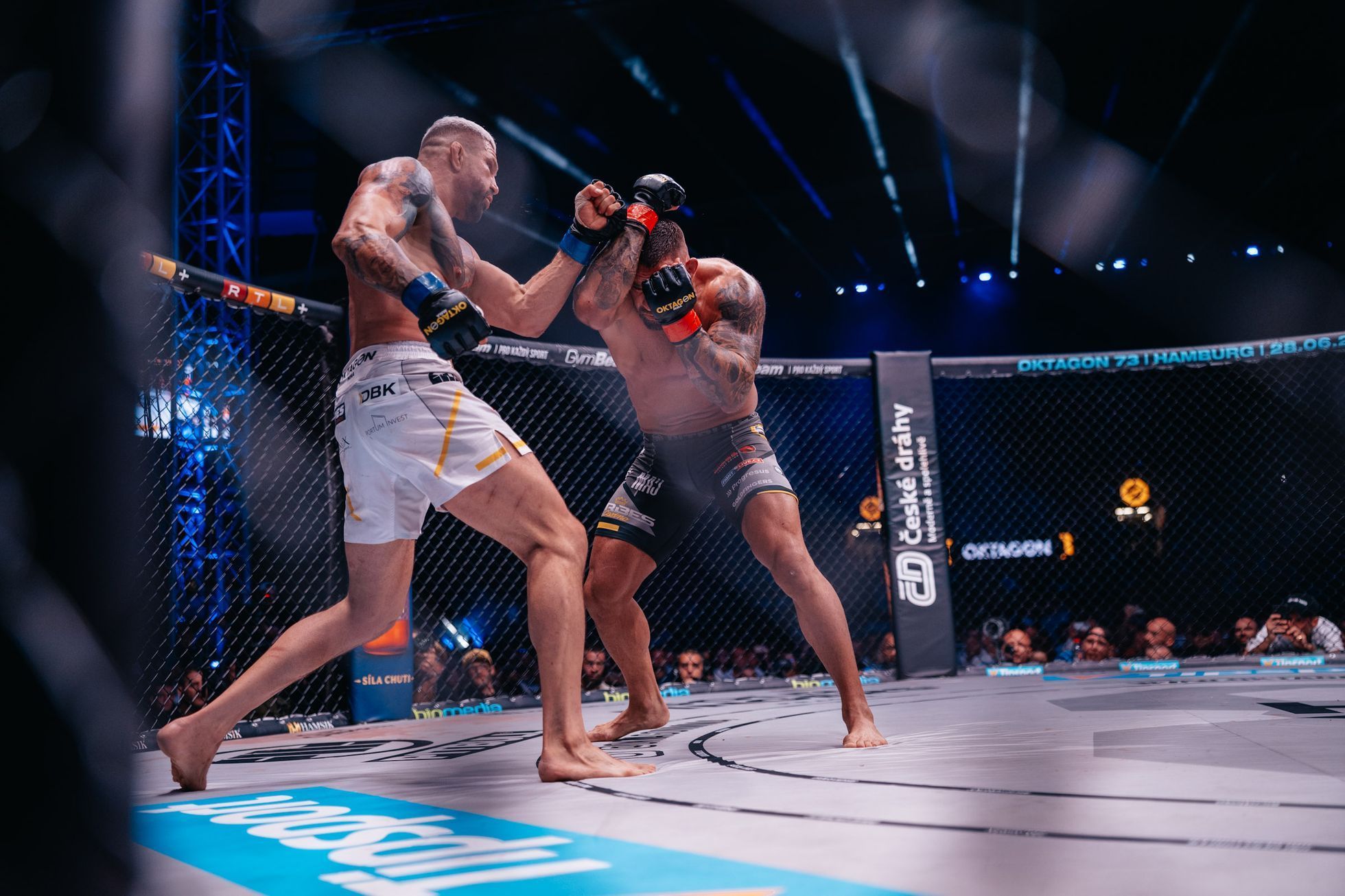 MMA: Vémola - Végh