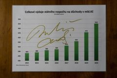 Babišův graf, který na Aukru prodával novinář Veselý, se vydražil za 25 tisíc