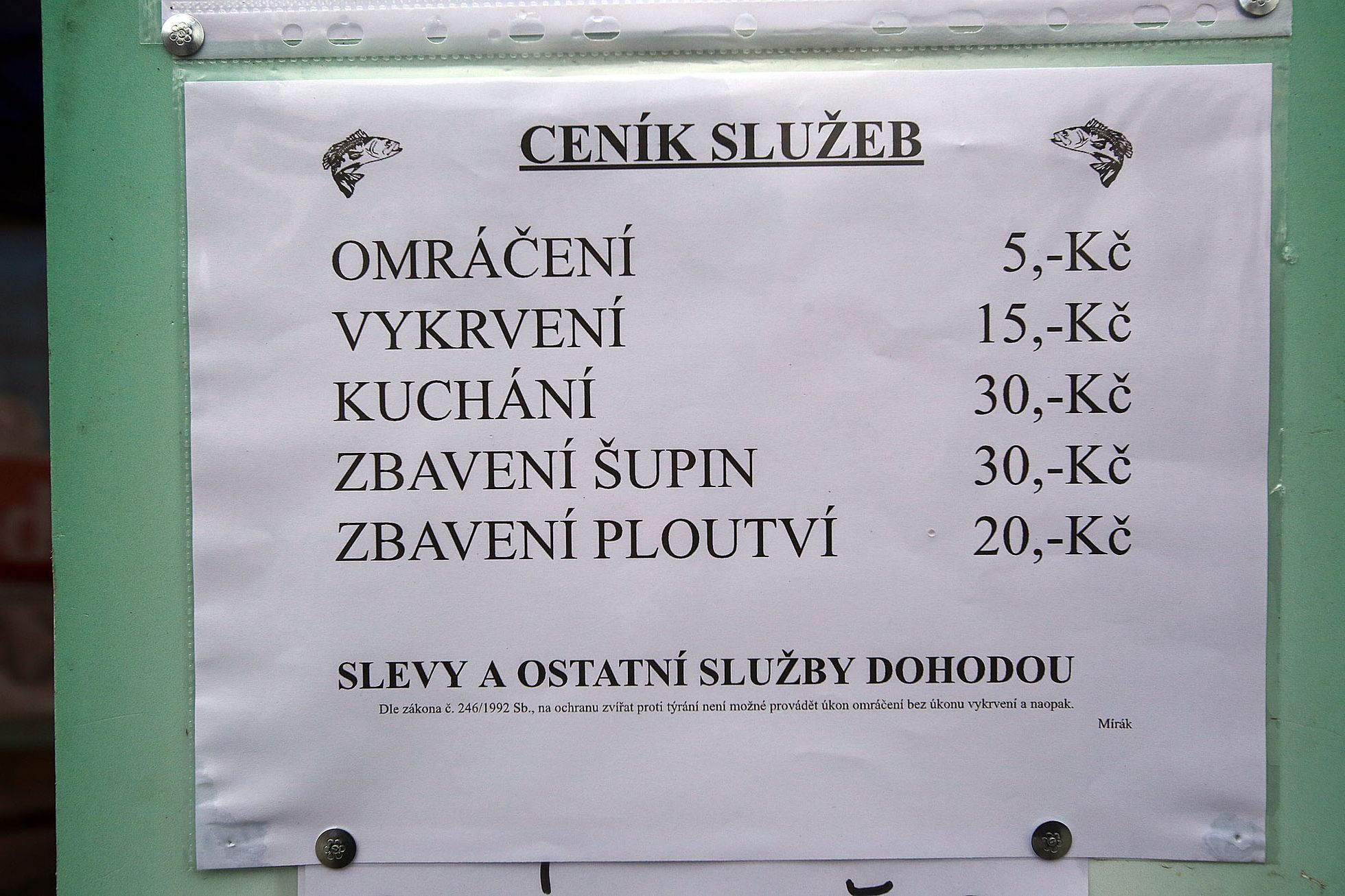 Prodej vánočních kaprů v Praze