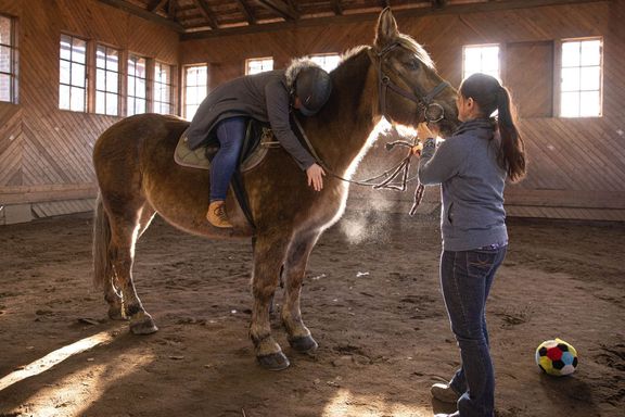 "Pohyb koňského hřbetu léčí," říká expertka na hipoterapii Hana Hermannová.