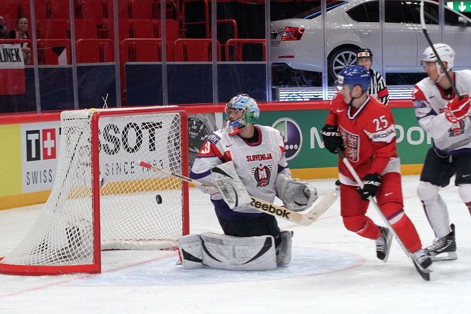 Hokej, MS 2013, Česko - Slovinsko: Jiří Hudler dává gól