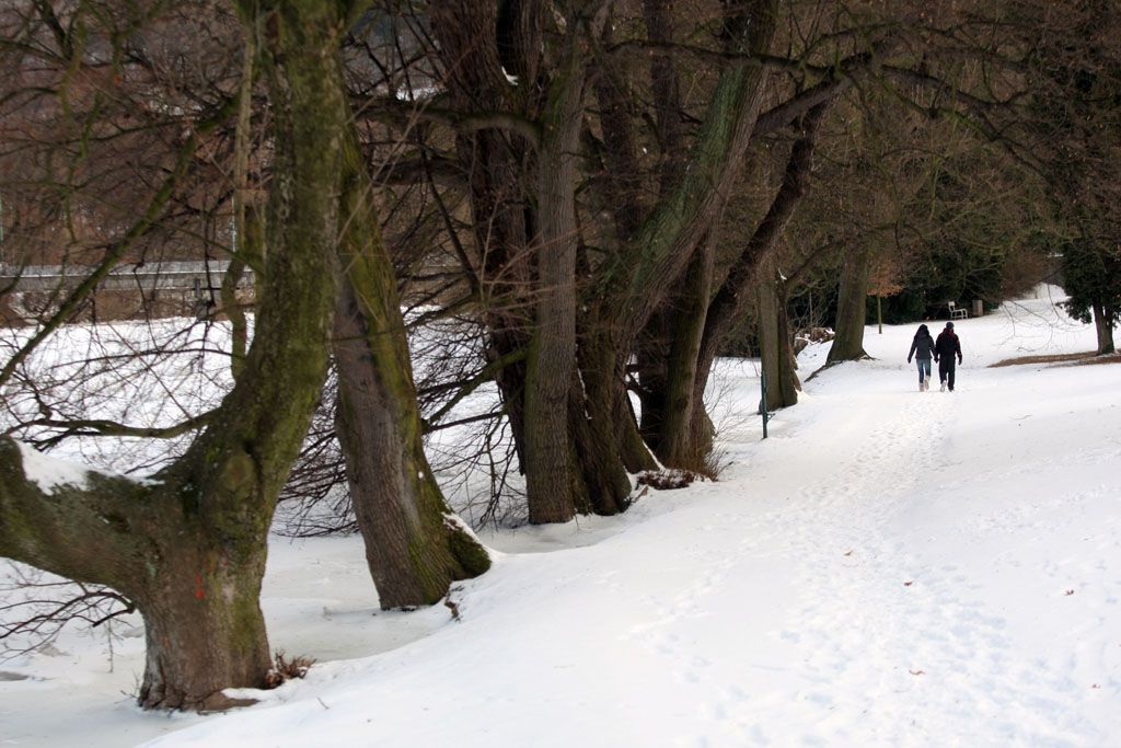Kry na Ohři