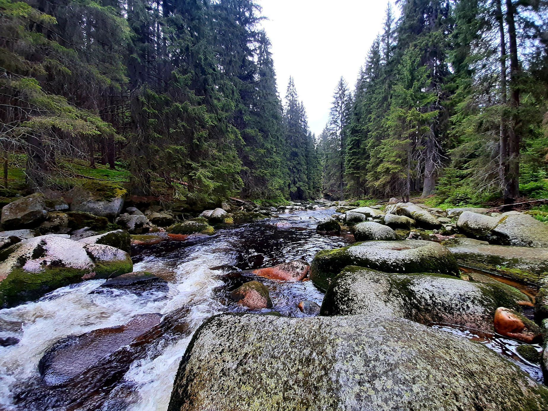 Povydří