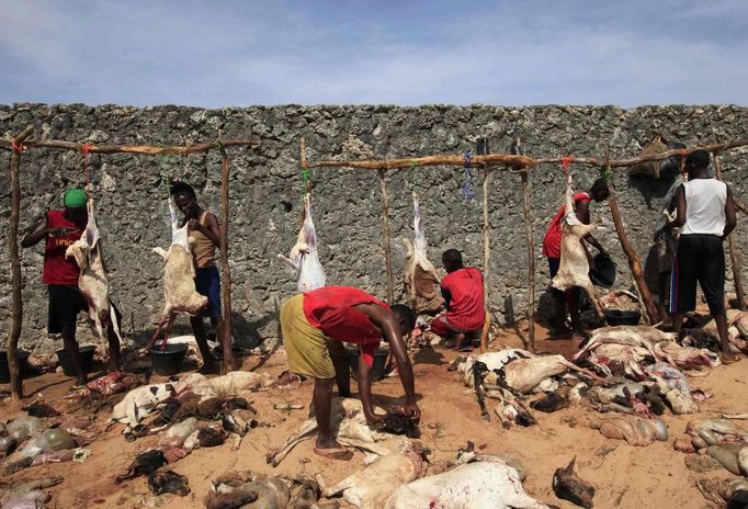 People prepare slaughtered goats on the first day of Eid al-Adha in Somalia's capital Mogadishu, October 26, 2012. Muslims around the world celebrate Eid al-Adha to mark the end of the Haj by slaughtering sheep, goats, cows and camels to commemorate Prophet Abraham's willingness to sacrifice his son Ismail on God's command. REUTERS/Omar Faruk (SOMALIA - Tags: SOCIETY RELIGION ANIMALS) Published: Říj. 26, 2012, 4:13 odp.