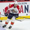 NHL: Florida Panthers at Ottawa Senators (Jágr, Borowiecki)