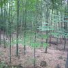Křivoklátsko