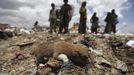 A puppy is seen at a garbage disposal site near Sanaa