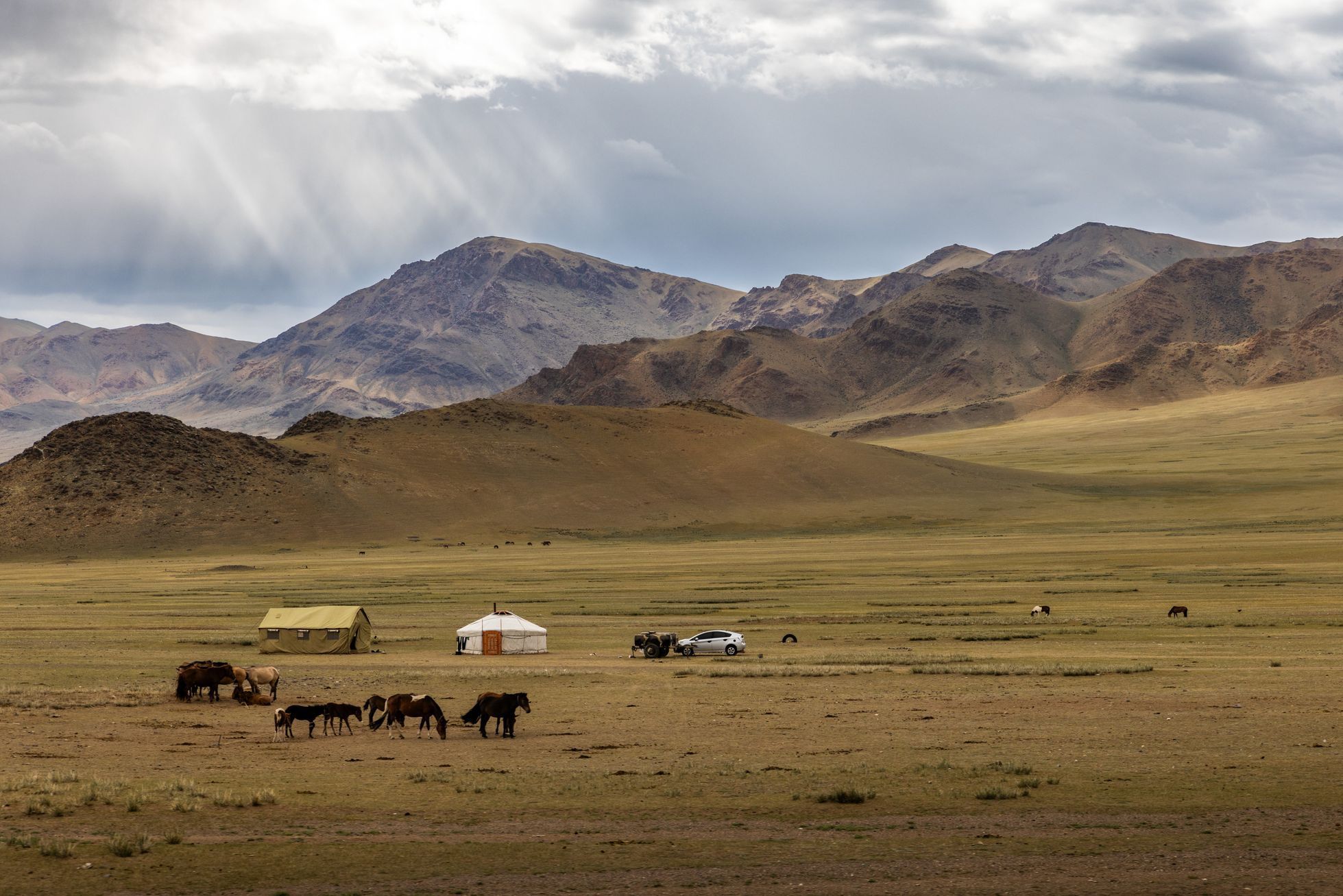 Dan Přibáň Žlutá žába