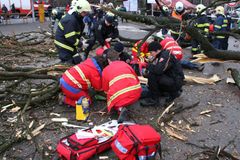 Na Hodonínsku spadl strom na muže, utrpěl vážná zranění