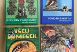 Čtyři dětské knihy Veroniky Souralové, které pojednávají o říši hmyzu