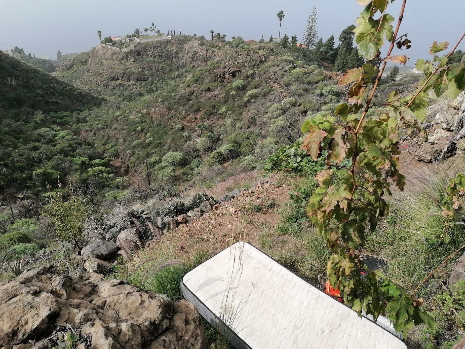la palma