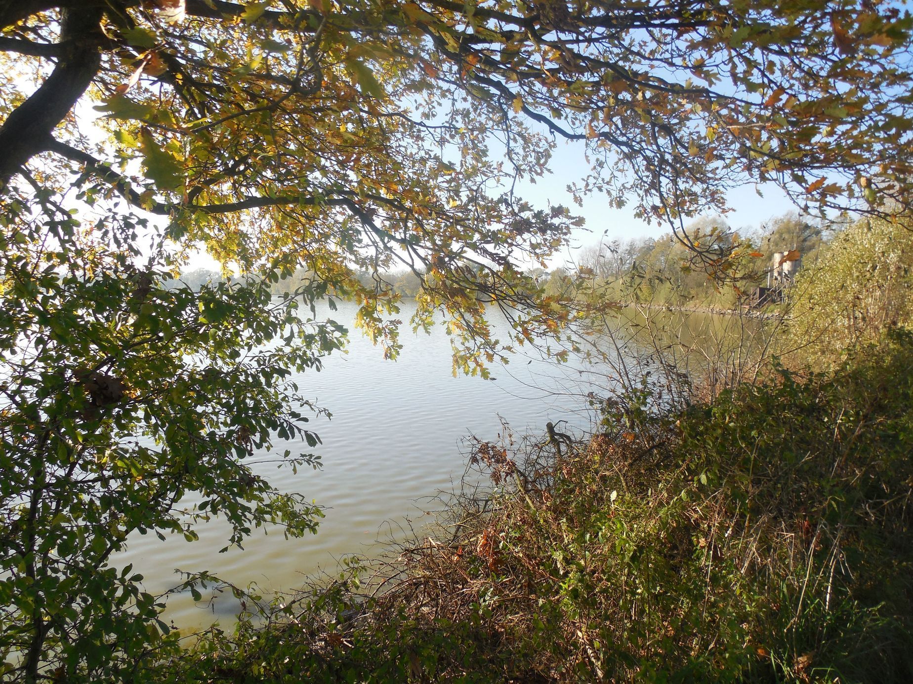 Fotosoutěž: Můj podzim - Věra Valešová