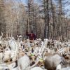 FOTOGALERIE / Život kočovných pastýřů v Mongolsku / Reuters / rok 2018 / 6