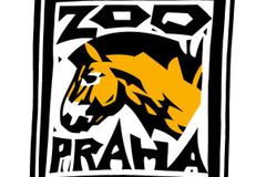 Výtvarník Cihlář prohrál soud s pražskou zoo. Logo s koněm Převalského užívat směla