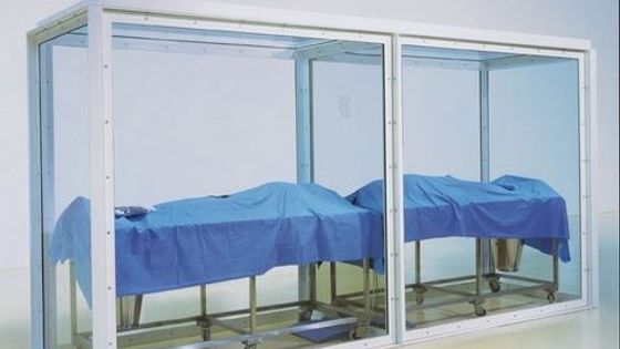 Praha uvidí díla umělecké superstar Damiena Hirsta