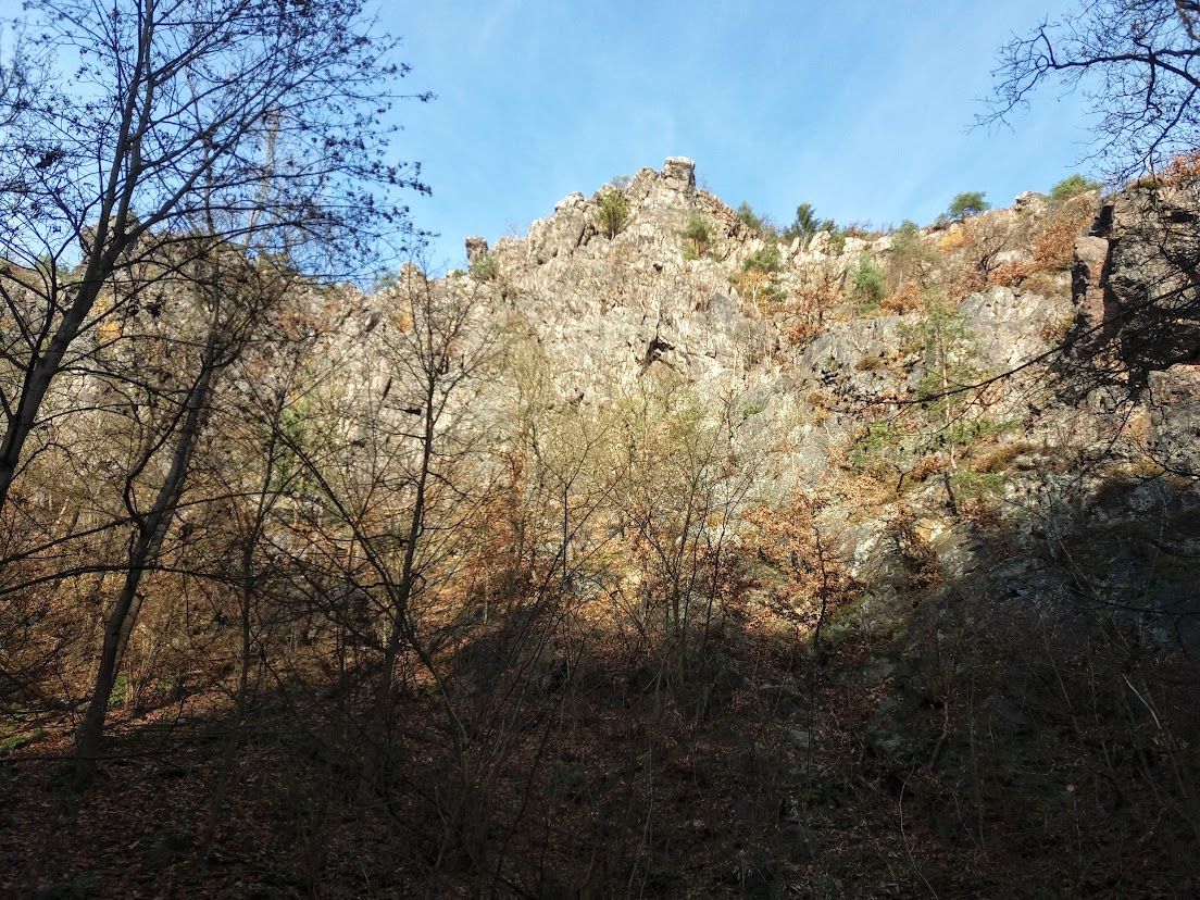 Divoká šárka