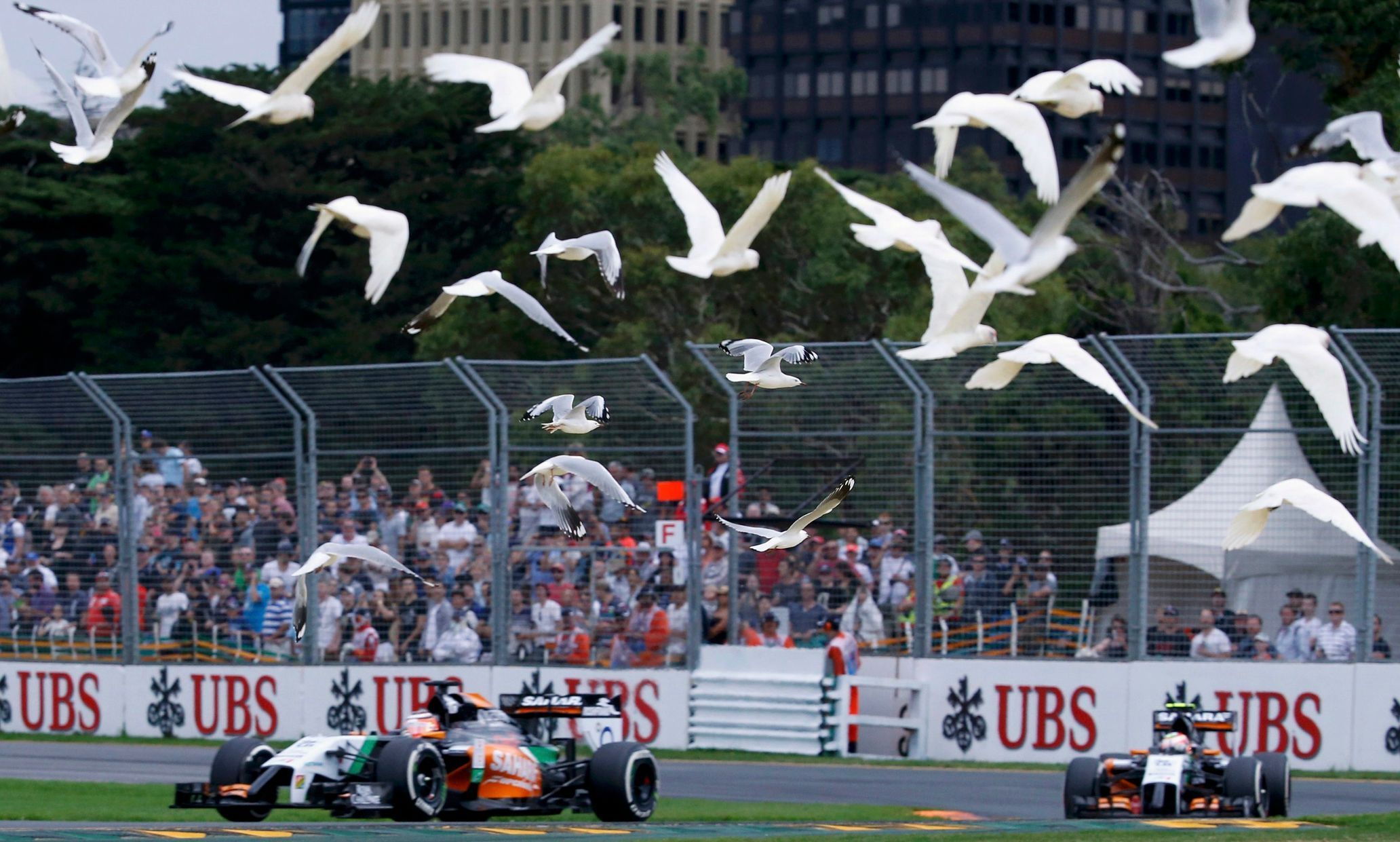 F1, VC Austrálie 2014: Force India