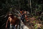 V Brazílii zabili dalšího domorodce. Muž bojoval proti kácení pralesů Amazonie