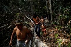 V Brazílii zabili dalšího domorodce. Muž bojoval proti kácení pralesů Amazonie