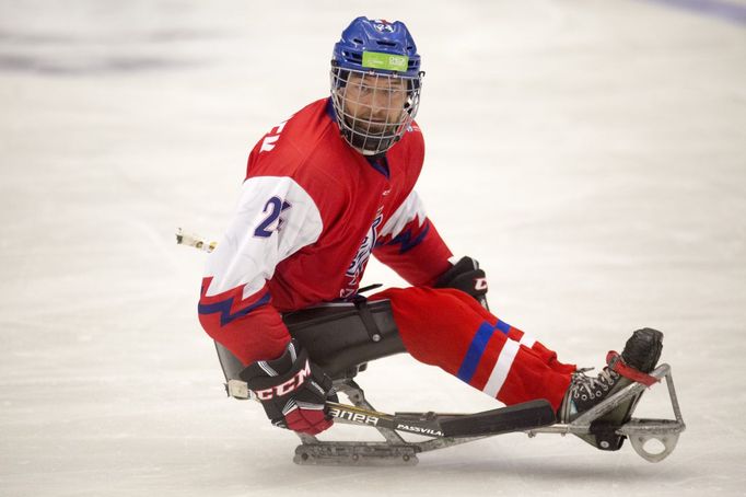 MS v parahokeji 2019: Zdeněk Šafránek