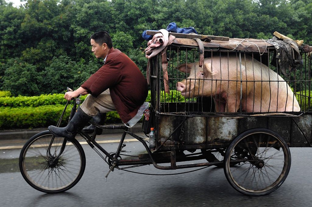 Ne pro články! Fotogalerie: Přetížení navzdory. Tak se v dopravě riskuje s nadměrnýn nákladem. / Čína