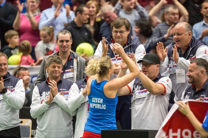 Siniaková vs. Buzarnescuová, Fed Cup, Česko vs. Rumunsko