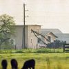 Davidiáni, Waco, Texas, David Koresh, obléhání, masakr, Zahraničí, sekta, USA