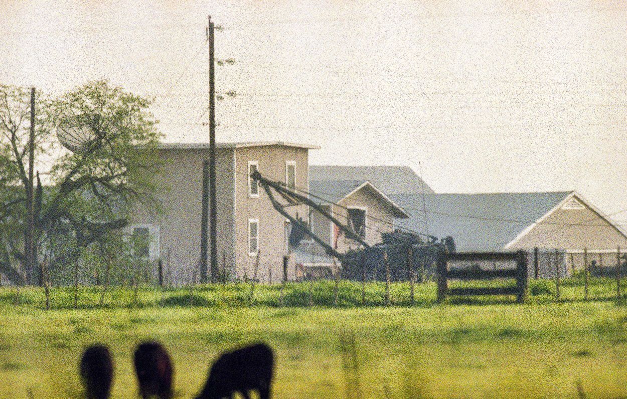 Davidiáni, Waco, Texas, David Koresh, obléhání, masakr, Zahraničí, sekta, USA