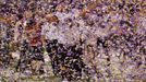 Super Bowl 2013: Baltimore Ravens