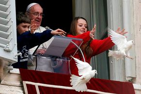 Děsivé znamení? Papežské holubice napadli ostatní ptáci