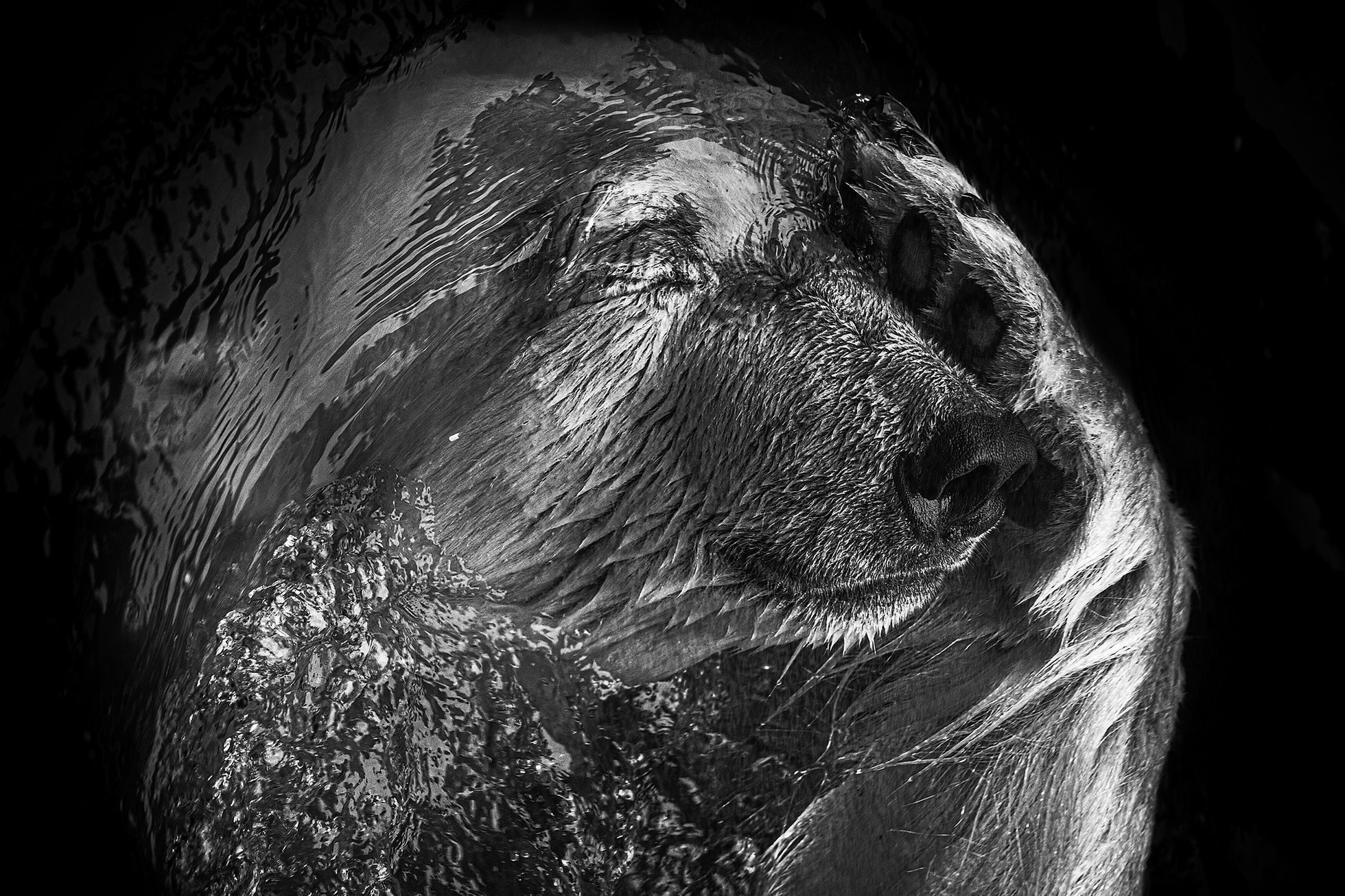 Nominace na ceny Czech Nature Photo 2022