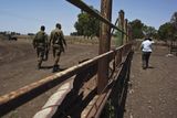 Na skalní plošině, která je od nárazníkového pásma mezi Izraelem a Sýrii vzdálena jen 2 km, hospodaří farmářská komunita kovbojů Moshav Yonatan. Honáci dobytka si na dennodenní přítomnost izraelských vojáků už dávno zvykli.