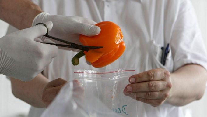 Pohled do laboratoře: Tady testují zeleninu kvůli zákeřné bakterii