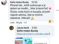 Odkazy na Kořínkův e-shop s bělidlem šíří i milionem zadlužený dezinformátor Jakub Netík.