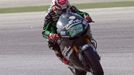 MotoGP: Nicky Hayden, Honda