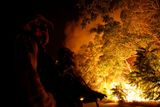 Hasiči v Kalifornii bojují s celkem sedmi požáry. Situace je stále kritická, byť čtyři požáry v uplynulých dnech zkrotili.
