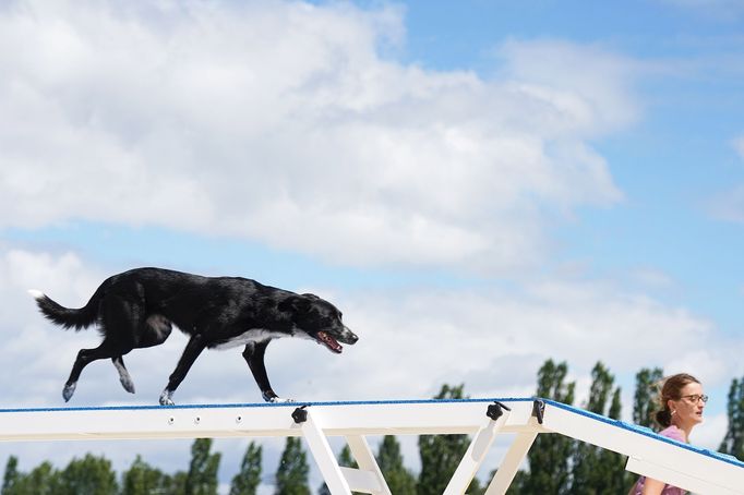 Mezinárodní kynologické závody Prague Agility Party 2022, závodiště Velká Chuchle